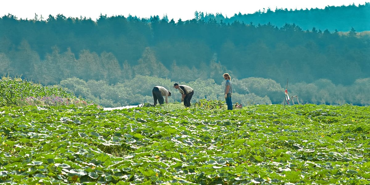 Cursos gratuitos en el sector agrario