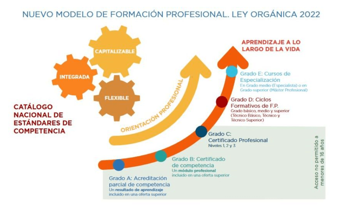 El importante rol de los certificados profesionales
