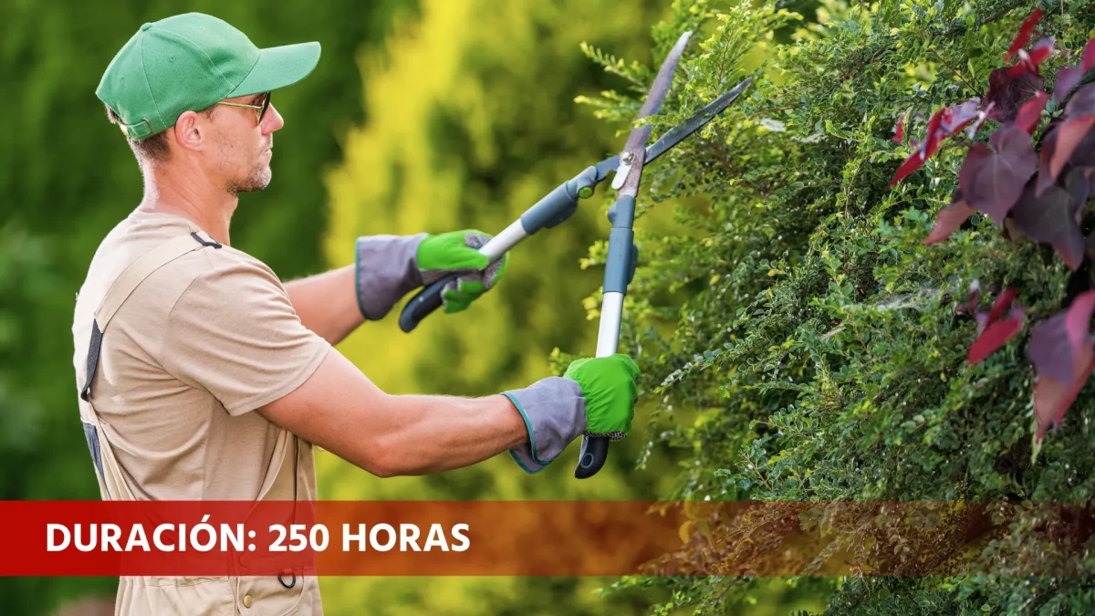 Actividades auxiliares en viveros, jardines y centros de jardinería (AGAO0108)