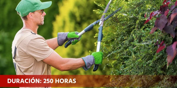 Actividades auxiliares en viveros, jardines y centros de jardinería (AGAO0108)