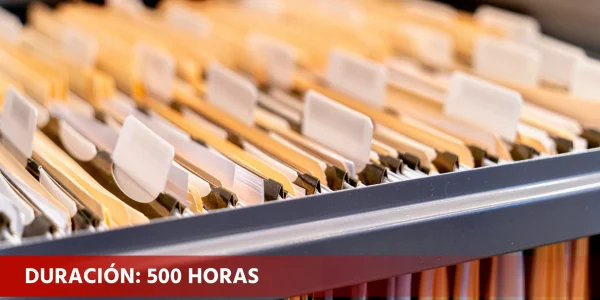 Operaciones auxiliares de servicios administrativos y generales (ADGG0408)