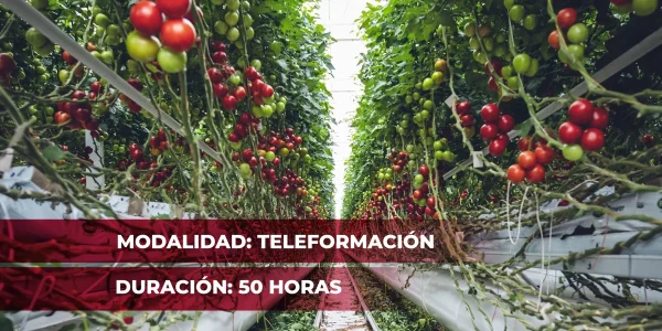 Cultivo Bajo Abrigo (AGAJ002PO)