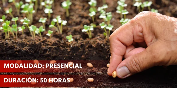 UF0967 RECOLECCIÓN DE FRUTOS, SEMILLAS, PLANTAS Y OTROS PRODUCTOS COMERCIALIZABLES