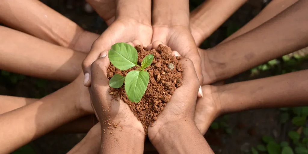 Cursos Gratuitos de Seguridad y medio ambiente