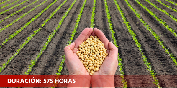 Actividades auxiliares en agricultura - colectivos (AGAX0208)