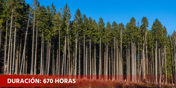 Aprovechamientos forestales - colectivos (AGAR0108)