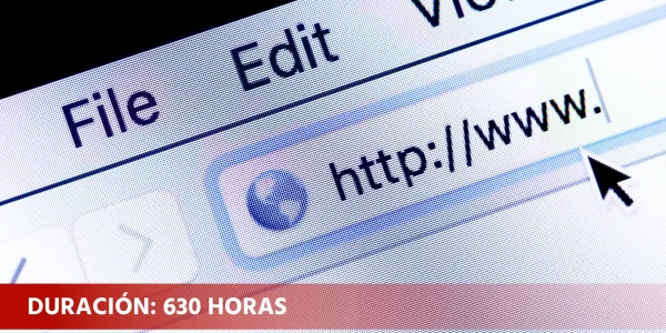 Confección y publicación de páginas web (IFCD0110)