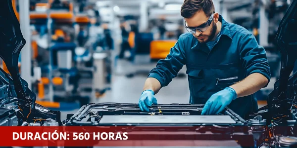 Mantenimiento de los sistemas eléctricos y electrónicos de vehículos (TMVG0209)