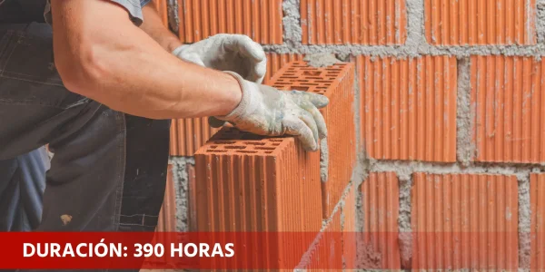 Operaciones de albañilería y mantenimiento de edificios (IF-0016)