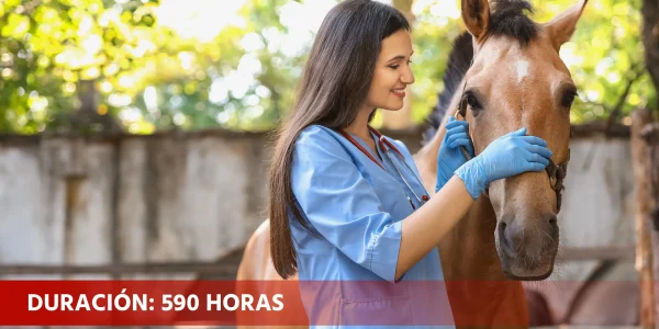 Cuidado y manejo del caballo (AGAN0109)