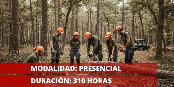 Actividades auxiliares en aprovechamientos forestales (AGAR0209)