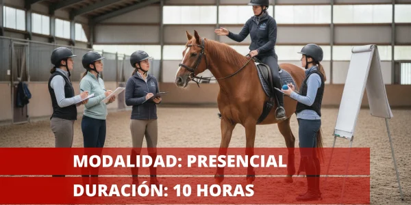 Previsión de las posibles reacciones del equino montado (AFD_A_1325_02)