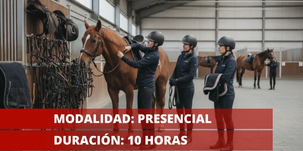 Selección, colocación y retirada de equipos para la monta (AFD_A_1325_01)